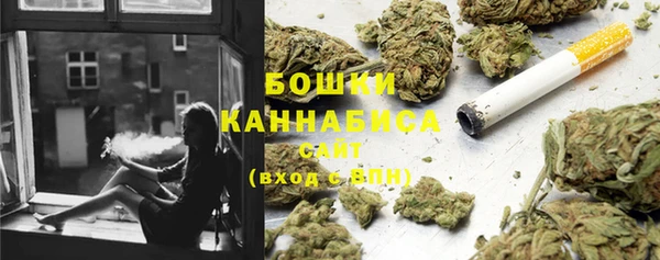 экстази Арсеньев