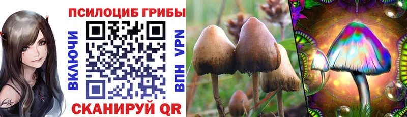 Галлюциногенные грибы мицелий  закладка  Аша 
