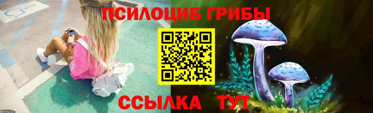 Псилоцибиновые грибы Psilocybine cubensis  Псилоцибиновые грибы мухоморы  Вход с VPN  Аша 