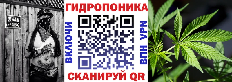 купить  цена  Аша  Бошки Шишки SATIVA & INDICA 